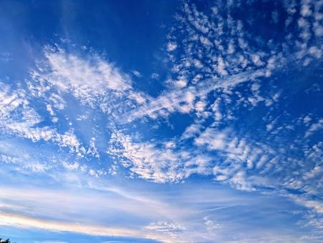 澄みきった秋の空とうろこ雲2 澄みきった秋の空とうろこ雲2の写真