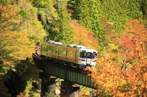 きれいな紅葉の中を走る普通列車 高山本線,紅葉,ロ－カル電車の写真素材