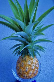 パイナップル　の写真