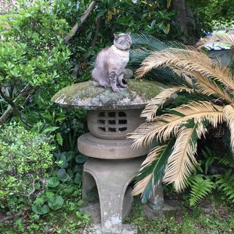 お気に入りの場所 お気に入りの場所の写真