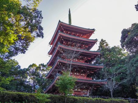 【高知県】高知市・竹林寺 竹林寺,寺院,お遍路の写真素材