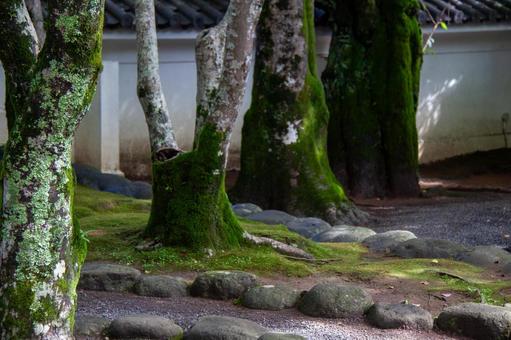 修善寺の風景⑵ 修善寺の風景⑵の写真