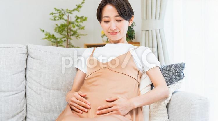 妊娠した女性 女性,若い,妊娠の写真素材