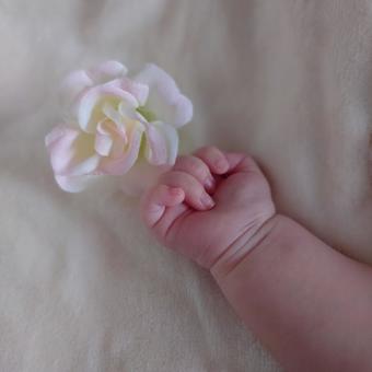 あかちゃん 花 あかちゃん 花 あかちゃん,ベビー,足の写真素材