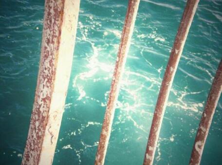 うねる海 うねる海の写真