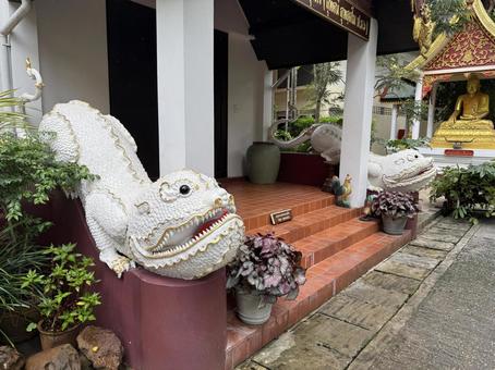 タイの寺院の狛犬 タイの寺院の狛犬 タイ,寺院,神聖の写真素材