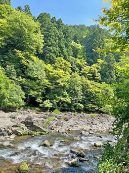京都清滝川 京都清滝川の写真