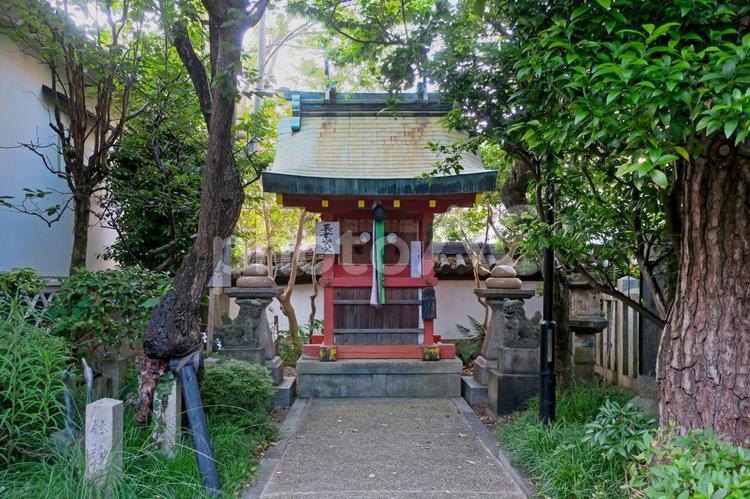 奈良・漢国神社 境内社「林神社」 奈良,祠,漢國神社の写真素材