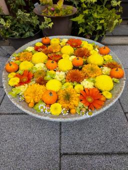 カラフルな花手水 カラフルな花手水 花,植物,日本の写真素材