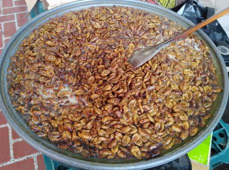 ポンテギの写真