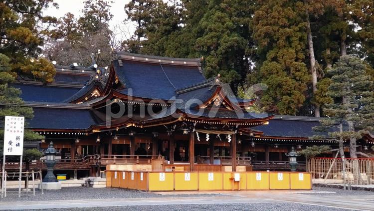 滋賀県-多賀大社-拝殿 多賀大社,神社,拝殿の写真素材