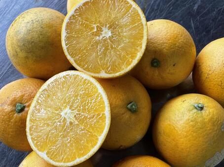 ネーブルオレンジ ネーブルオレンジ,柑橘,フルーツの写真素材