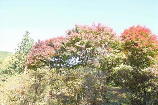 栃木県にて、風景 栃木県にて、風景の写真