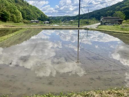 水田に映る空① 水田に映る空①の写真