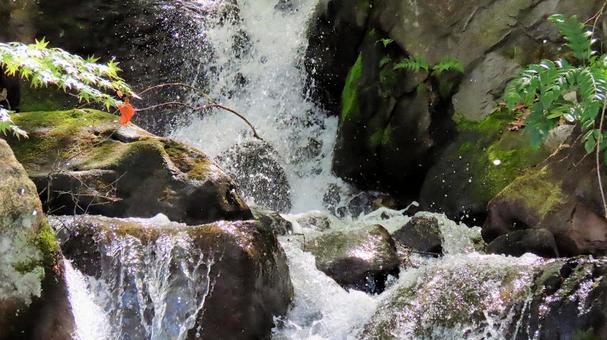 Photo, waterfall, takino, fresh green, 