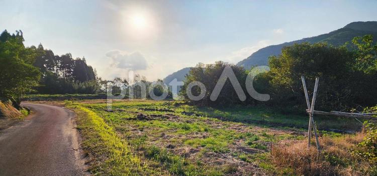 田舎の風景 田舎,風景,景色の写真素材