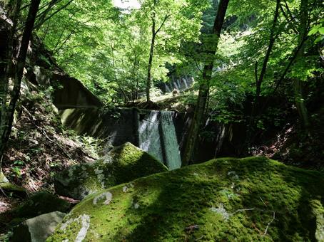 新緑の西沢渓谷 渓谷,沢,甲武信ヶ岳の写真素材