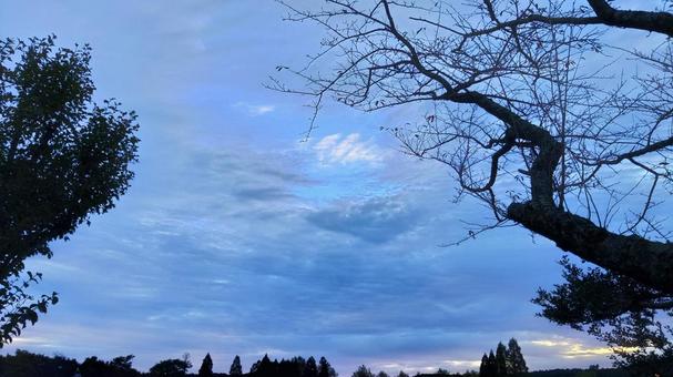 早朝の空 空,風景,景色の写真素材