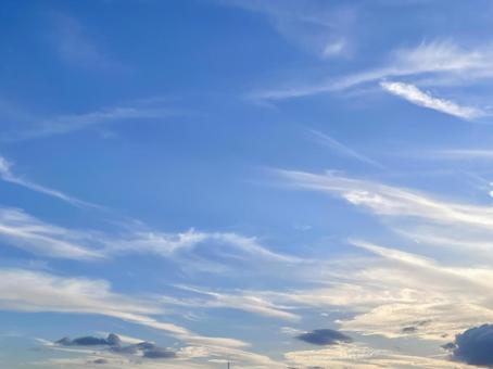 雲のある夕空 空,雲,晴れの写真素材