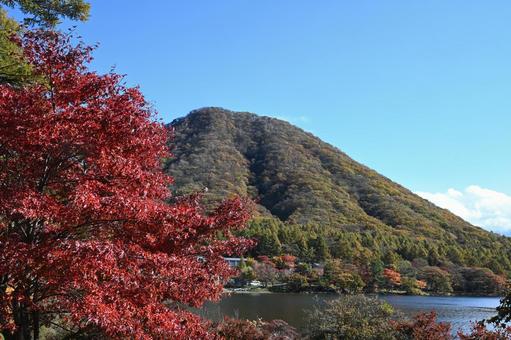 榛名富士と紅葉のモミジ 自然,秋,紅葉の写真素材