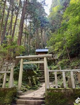 かびれ神宮 かびれ神宮の写真