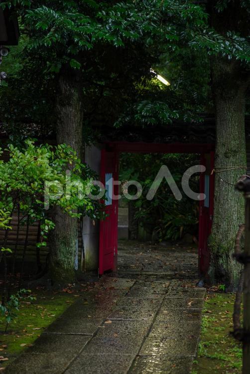 雨が降る東京赤坂にある氷川神社の様子 雨,境内,展示の写真素材