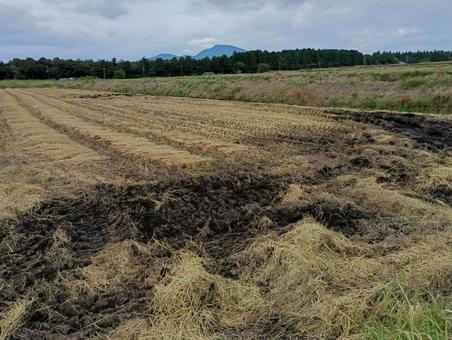 稲刈り後の田んぼ03 稲刈り後の田んぼ03の写真