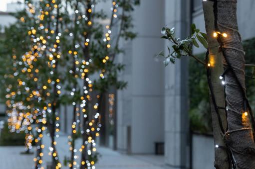 ビジネス街のイルミネーション イルミネーション,街路樹,ライトアップの写真素材