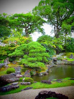 京都府-醍醐寺-三宝院-庭園 京都府-醍醐寺-三宝院-庭園の写真