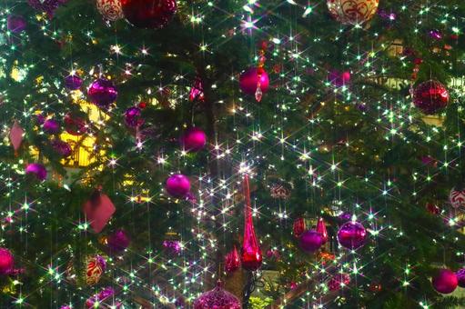 クリスマスツリーのクローズアップ クリスマスツリーのクローズアップの写真