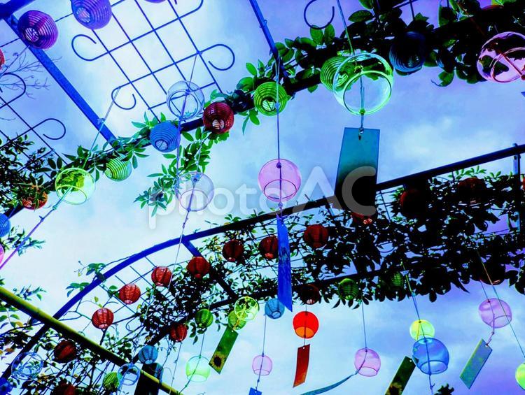 夏の風物詩（風鈴）1 夏,夏休み,風鈴の写真素材