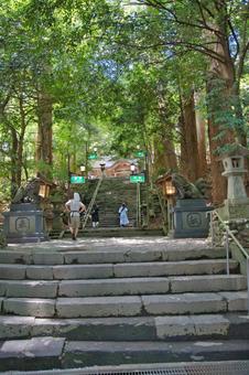 高千穂神社での参拝風景  宮崎県 高千穂 高千穂神社での参拝風景  宮崎県 高千穂の写真
