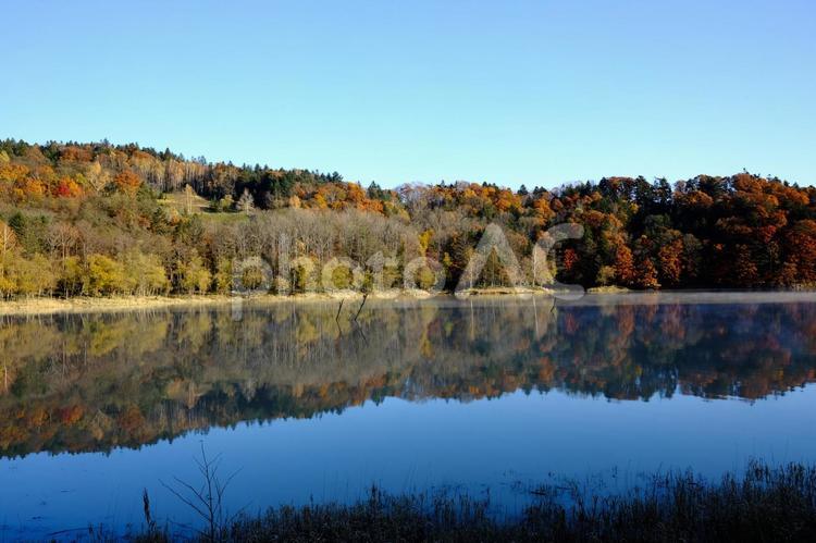 湖と紅葉 紅葉,もみじ,風景の写真素材
