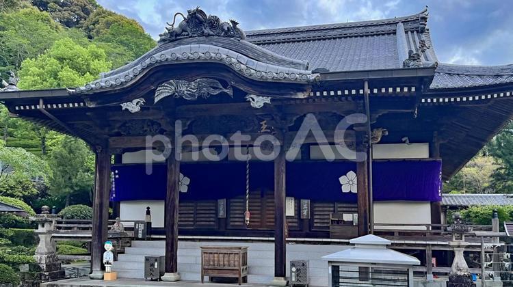 四国八十八ヶ所 39番 延光寺 本堂 延光寺,本堂,早朝の写真素材
