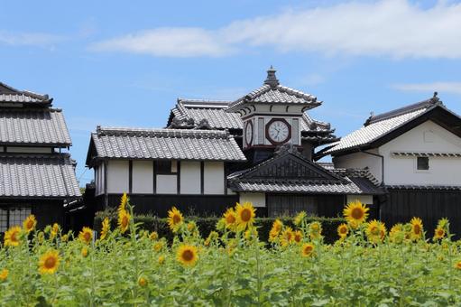 野良時計 野良時計 野良時計,観光,高知県の写真素材