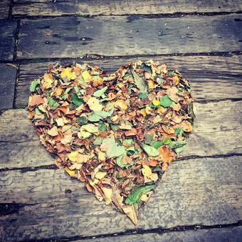 Heart-shaped fallen leaves, JPG