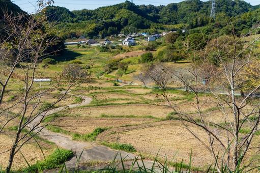 静岡県菊川市　千框(せんがまち)の棚田 日本,静岡県,菊川市の写真素材
