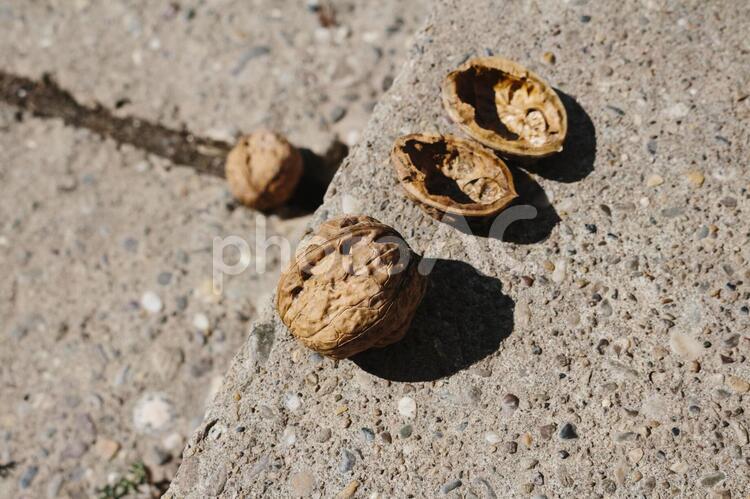 地面に置かれたくるみ33 くるみ,ナッツ,殻付きの写真素材