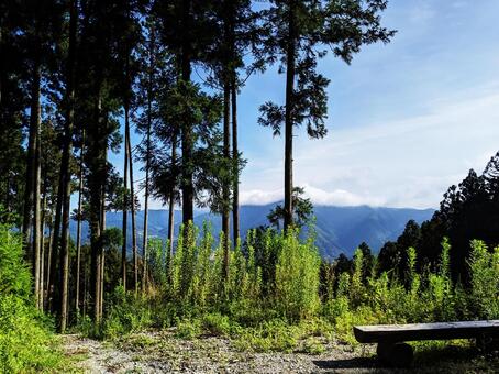 森の奥からの風景 森の奥からの風景 森,山,若杉山の写真素材