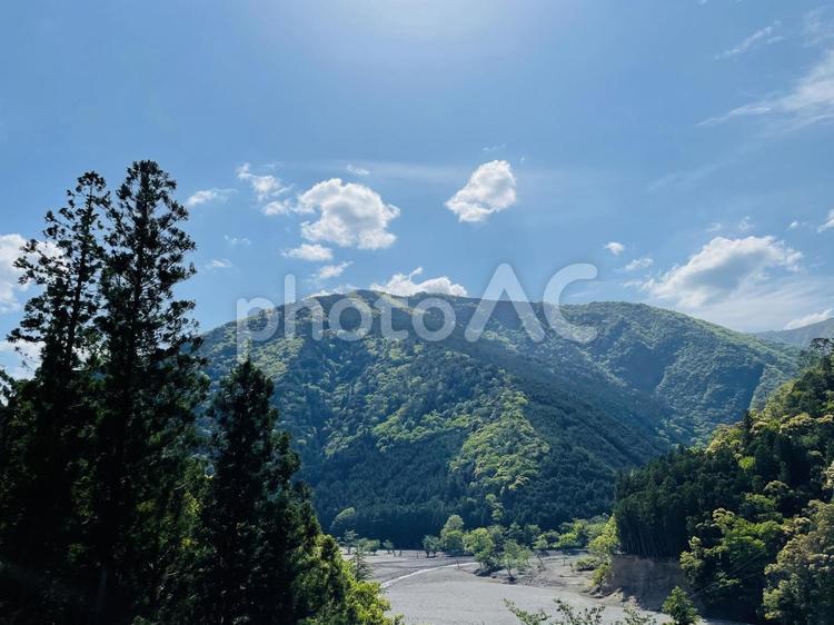 奈良県の森林 奈良,森林,自然の写真素材