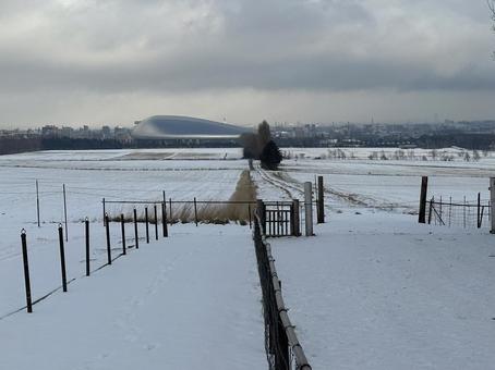 雪原の先に広がる札幌ドーム 札幌,北海道,冬の写真素材