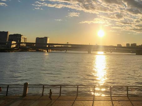 夕陽 夕陽の写真