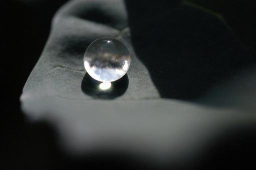 水滴の写真