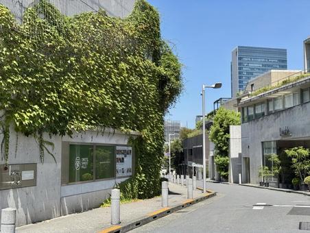 表参道ヒルズの裏道 表参道ヒルズの裏道 表参道,青山,表参道ヒルズの写真素材