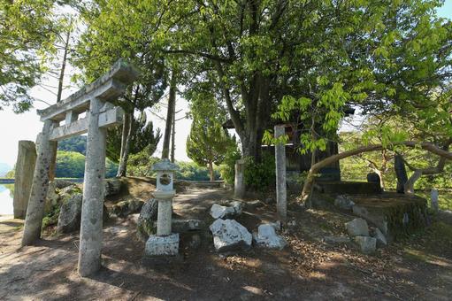 Photo, shuhin shrine, a shrine, sunny, 