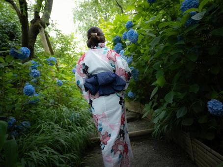 32:紫陽花と浴衣の女性 32:紫陽花と浴衣の女性 紫陽花,あじさい,浴衣の写真素材