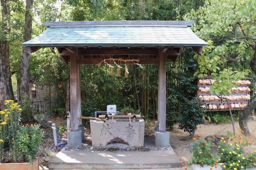 玉津島神社　手水舎 玉津島神社,手水舎,たまつしまじんじゃの写真素材