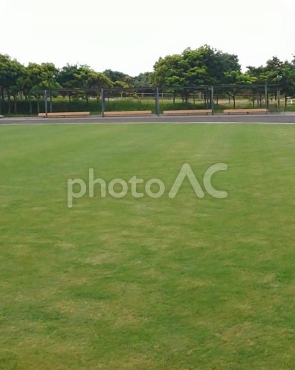 ソレイユの丘 5 広場,緑,グリーンの写真素材