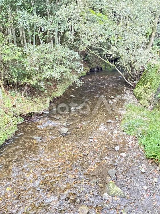 川　山の中　慈眼寺公園さくら広場３ 山の中,慈眼寺公園さくら広場,風景の写真素材