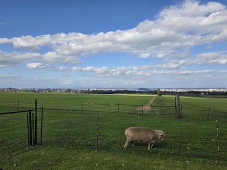 羊ヶ丘展望台 羊ヶ丘展望台の写真